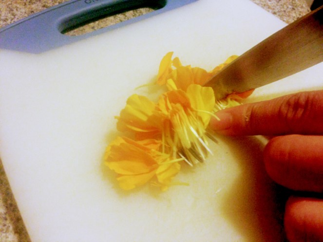 Processed with Rookie Cam